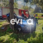 Εύβοια: Δύο 20χρονοι νεκροί σε τροχαίο - Το αυτοκίνητο καρφώθηκε σε δέντρο