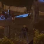 Πόρος: Ανήλικοι Πέταξαν Βαρελότα Στα Πόδια 85χρονης