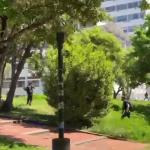 Θεσσαλονίκη: Πεδίο Μάχης Το Αριστοτέλειο Πανεπιστήμιο