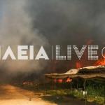 Μεγάλη Φωτιά Στη Μανωλάδα