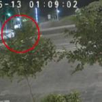 Τροχαίο Παραλιακή: Βίντεο Από Την Πρόσκρουση ΙΧ Σε Κολόνα