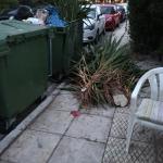 Άλιμος: Τι Εξετάζουν Οι Αρχές Για Το Μωράκι Στα Σκουπίδια