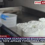 Κύκλωμα Θεσσαλία: Εξαπατούσαν Επιχειρήσεις Με Τυροκομικά