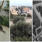 Κρήτη σεισμός