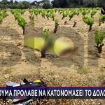 Ραφήνα: Το Σημείο Στο Οποίο Βρέθηκε Νεκρός Ο 41χρονος