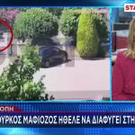 Ροδόπη: Συνελήφθη Τούρκος μαφιόζος για τους πυροβολισμούς σε άνδρες της ΕΥΠ