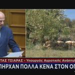 Κώστας Τσιάρας ΟΠΕΚΕΠΕ