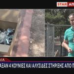 «Μαφία Του Χαλκού»
