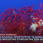 σπάνια κοράλλια Φούρνοι