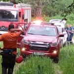Δράμα: Εντοπίστηκε Ο Πεζοπόρος Που Του Επιτέθηκε Αρκούδα