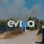Φωτιά Τώρα Στην Ερέτρια