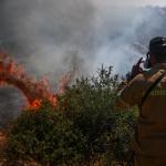 Φωτιά Τώρα Στον Μαραθώνα - Σε Δάσος Αγίας Μαρίνας
