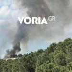 Θεσσαλονίκη: Φωτιά Κοντά Στο Νοσοκομείο Παπαγεωργίου