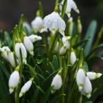 Εορτολόγιο: Ποιοι γιορτάζουν στις 30 Ιουνίου