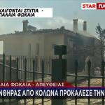 Φωτιά Παλαιά Φώκαια: Πώς Ξεκίνησε Η Πυρκαγιά