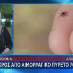 Star τσιμπούρι