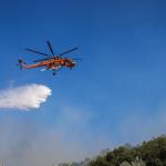 Φωτιά Τώρα Στον Μαραθώνα - Συναγερμός Στην Πυροσβεστική