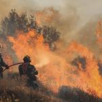 Φωτιά Ιεράπετρα: Αναζωπυρώσεις Και Νέες Εκκενώσεις Οικισμών