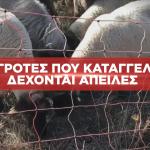 απειλές σε αγρότες για τον ΟΠΕΚΕΠΕ