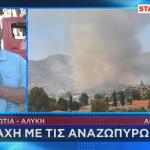 Βοιωτία: Φωτιά Στην Αλυκή