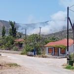 Φωτιά τώρα στη Λέσβο - Επιχειρούν 4 αεροσκάφη και δύο ελικόπτερα