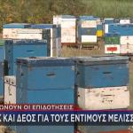 Μελίσσια πάγωσαν οι επιδοτήσεις