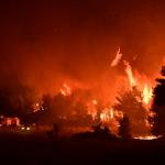 Φωτιά Τώρα Στον Ωρωπό: Μήνυμα 112 - Σηκώθηκαν Εναέρια Μέσα