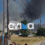 Φωτιά Τώρα Στην Εύβοια - Κοντά Σε Σπίτια Στο Αλιβέρι
