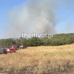 Φωτιά Στο Φίλυρο Θεσσαλονίκης - Ήχησε Το 112