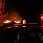 Ηλεία: Φωτιά Στο Γεράκι Αμαλιάδας