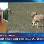 ΟΠΕΚΕΠΕ εμπλοκή μονής