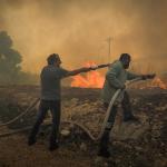 Φωτιές Τώρα σε Εύβοια, Μεσσηνία και Κύθηρα