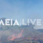 Φωτιά τώρα στα Λεχαινά Ηλείας - Επιχειρούν και εναέρια μέσα