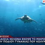 ΘΑΛΑΣΣΙΑ ΧΕΛΩΝΑ – ΘΑΛΑΣΣΑ - ΤΡΑΥΜΑΤΙΣΜΟΣ - ΑΝΑΒΥΣΣΟΣ