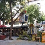 Ερμού: Έπεσε Δέντρο Από Τους Θυελλώδεις Ανέμους