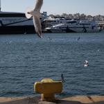 Άνδρας ανασύρθηκε νεκρός από το λιμάνι του Πειραιά