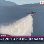 Φωτιά Στην Καλλιτεχνούπολη
