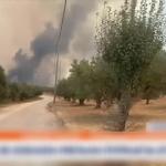 Μεγάλο Το Πύρινο Μέτωπο Στα Χάλανδρα Χίου