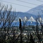 Φωτιά Πάτρα: Μάχη Με Διάσπαρτες Εστίες -Σύλληψη Για Εμπρησμό