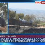 Φωτιές - Αχαΐα