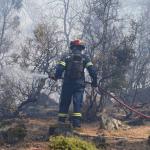 Λέσβος: Άνδρας Ομολόγησε Ότι Έβαλε Φωτιές Για... Εκδίκηση