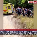 Μέτσοβο: Χαροπαλεύει Άνδρας Που Καταπλακώθηκε Από Δέντρο