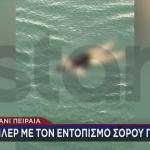 Πειραιάς: Τι Λένε Στο STAR Οι Άνθρωποι Που Βρήκαν Τη Σορό