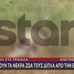 Φρίκη Στα Τρίκαλα: Πετούν Νεκρά Ζώα Δίπλα Στην Εθνική Οδό