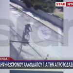 Φωτιά Παιανία: Συνελήφθη 62χρονος - Βίντεο Ντοκουμέντο