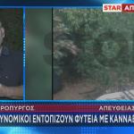 φυτεία κάνναβης στον Ασπρόπυργο