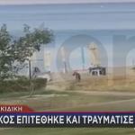 λύκος στην παραλία Χαλκιδική