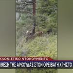 Βίντεο Με Την Επίθεση Αρκούδας Στον Ορειβάτη Στη Δράμα