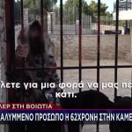 Βοιωτία: Τι Λέει Ο Εργάτης Που Φέρεται Να Έσκαψε Τον Λάκκο