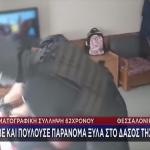 Κινηματογραφική Σύλληψη Παράνομου Υλοτόμου Στη Θεσσαλονίκη